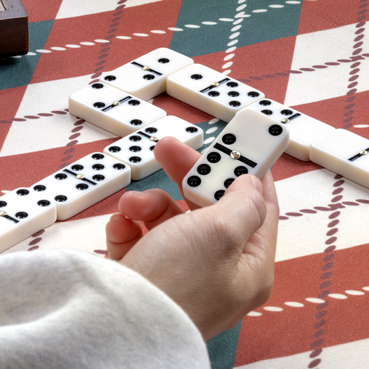 Lingle Luxury Dominoes Set with 28 Pieces