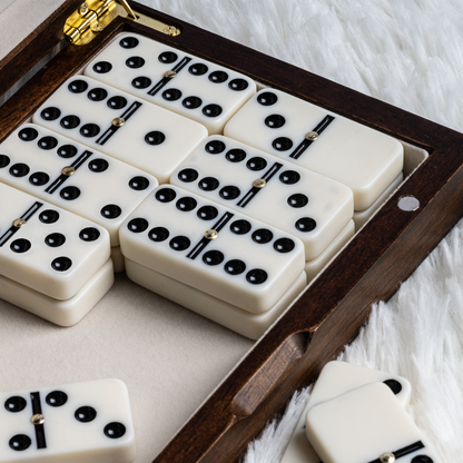 Lingle Luxury Dominoes Set with 28 Pieces